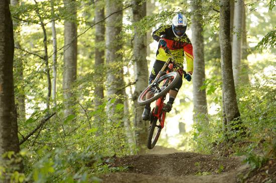 Bike Resort Sinaia